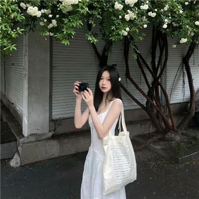 蒂科与鲨鱼